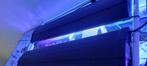 Oddysea zeeaquarium lampen, Dieren en Toebehoren, Ophalen, Zo goed als nieuw, Verlichting of Verwarming