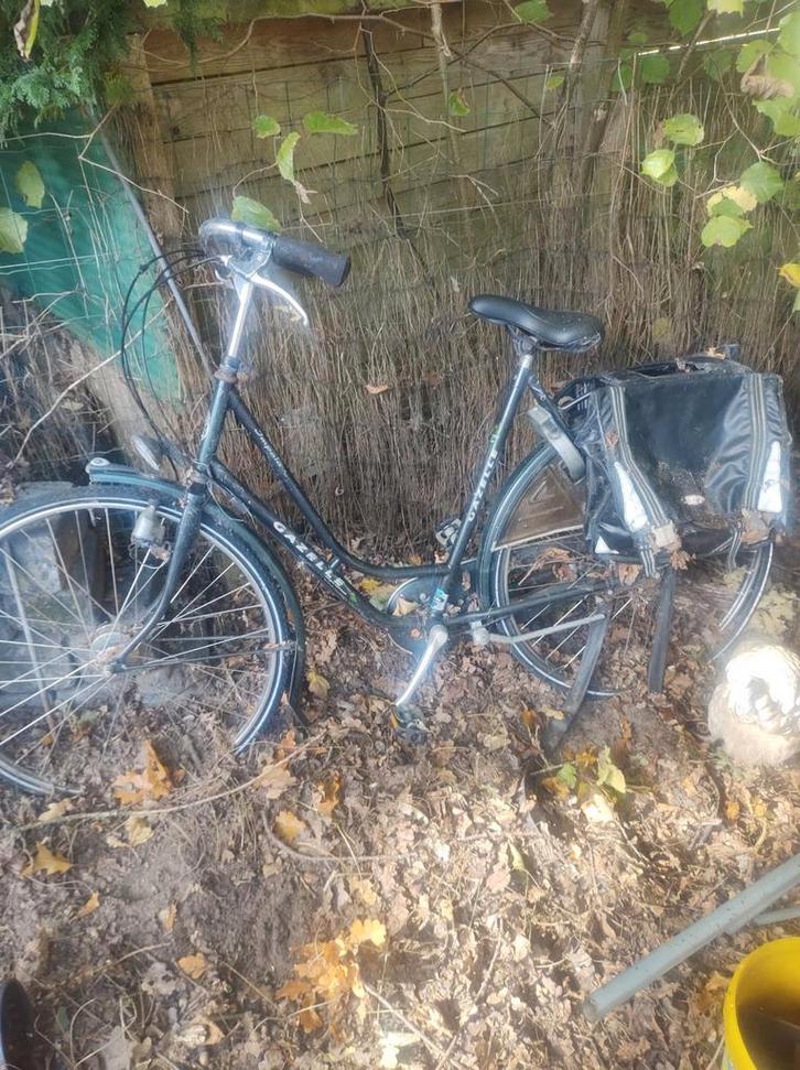 Gazelle impala heeft beetje liefde nodig, Fietsen en Brommers, Fietsen | Oldtimers, Ophalen of Verzenden