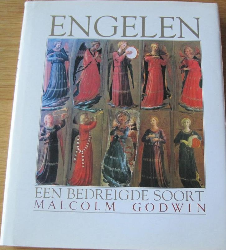 Engelen - een bedreigde soort - Malcolm Godwin, geschiedenis, Boeken, Esoterie en Spiritualiteit, Zo goed als nieuw, Overige typen