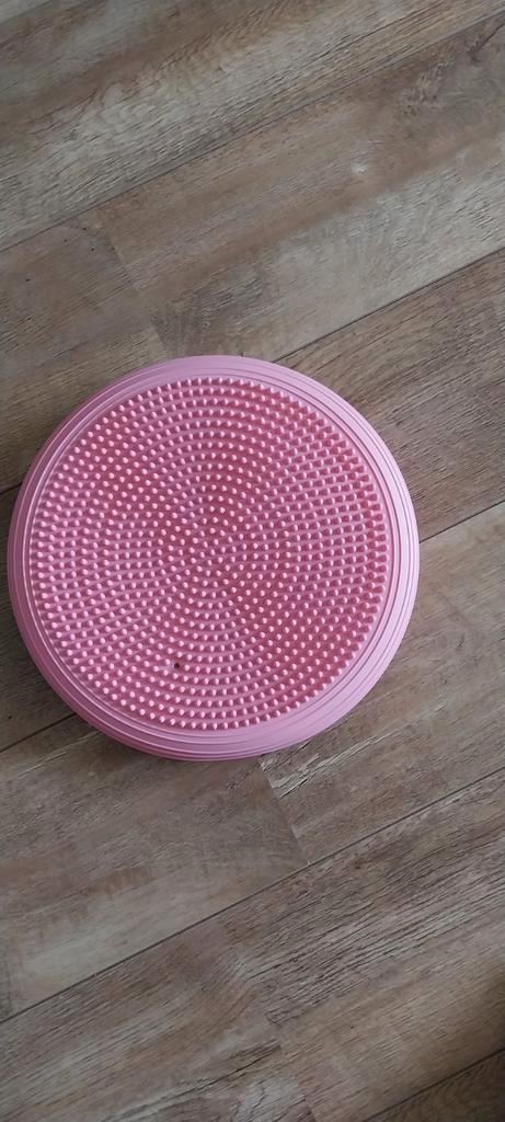 Balanskussen, Sport en Fitness, Gezondheidsproducten en Wellness, Zo goed als nieuw, Overige typen, Ophalen