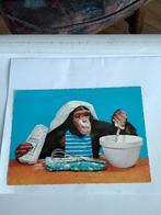 AAP MET BESLAGKOM. 1967, Verzamelen, Ansichtkaarten | Themakaarten, Ophalen of Verzenden, 1960 tot 1980