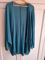 Leuk dun vestje maat 46, Blauw, Maat 46/48 (XL) of groter, Ophalen of Verzenden, Jbc