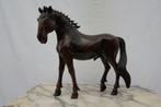 Paard ( Heel erg mooi, Ophalen of Verzenden