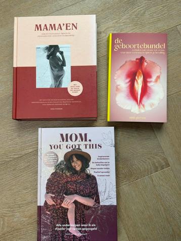 Boeken Zwangerschap & Moederschap: Pierson & Huismuts beschikbaar voor biedingen