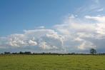 Weiland gezocht, Dieren en Toebehoren, Stalling en Weidegang