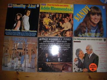 19 Nederlands(talig)e LP's - Hits/Carnaval/Verzamel beschikbaar voor biedingen