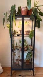 Ikea Milsbo Greenhouse Cabinet Vitrinekast, Huis en Inrichting, Kasten | Vitrinekasten, Ophalen, Met deur(en), 50 tot 100 cm, Zo goed als nieuw