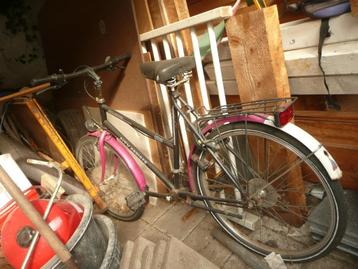 Gazelle city cruiser beschikbaar voor biedingen