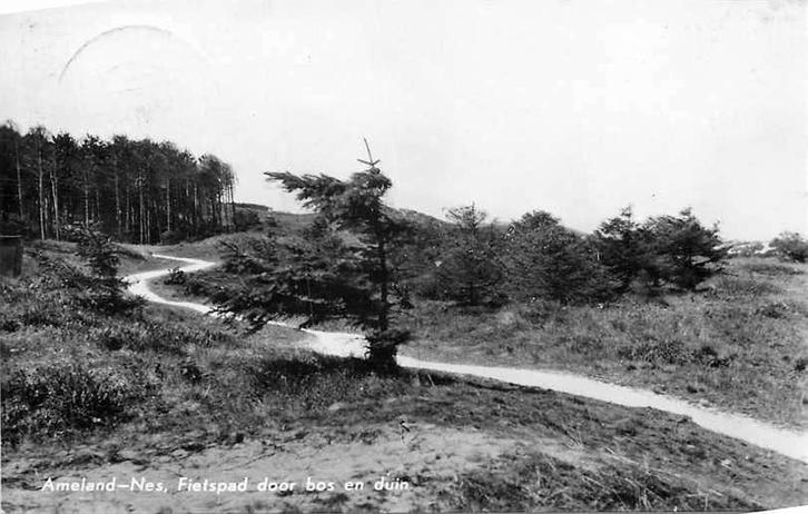 377-076-019 Ameland Nes Fietsbad door bos en duin, Verzamelen, Ansichtkaarten | Nederland, Waddeneilanden, Voor 1920, Ophalen of Verzenden