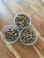 Vis en garnalenvoer, dierlijke tabletten, Vis