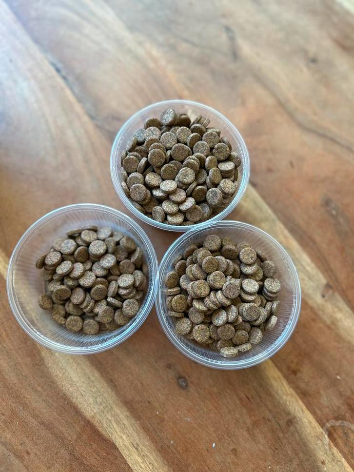 Vis en garnalenvoer, dierlijke tabletten, Dieren en Toebehoren, Vissen | Aquariumvissen, Vis