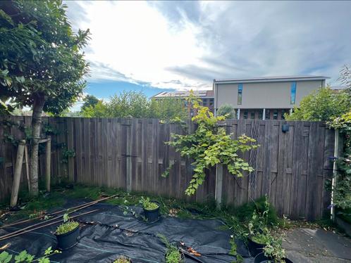 Hek (schutting) HARDHOUT, Tuin en Terras, Tuinhekken en Hekwerk, Gebruikt, Tuinhek, Hout, Ophalen