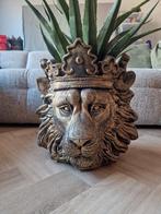 LOODS 5 VOOR BINNEN OF BUITEN DECORATIE  OF PLANTENBAK, Ophalen, Zo goed als nieuw
