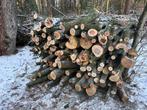 Brandhout op stam ca. 3,5m3, 6 m³ of meer, Ophalen, Overige houtsoorten, Stammen