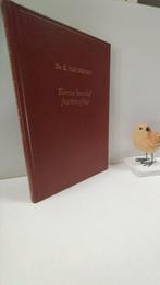 Reenen, Ds. G. van; Eerste bundel feeststoffen, Boeken, Godsdienst en Theologie, Ophalen of Verzenden, Gelezen, Christendom | Protestants