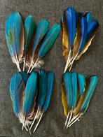 Ara veren set, Ophalen of Verzenden, Gebruikt, Materiaal