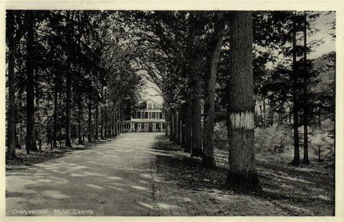 Oranjewoud. Hotel Tjaarda - ongelopen, Verzamelen, Ansichtkaarten | Nederland, Ongelopen, Overijssel, 1920 tot 1940, Ophalen of Verzenden