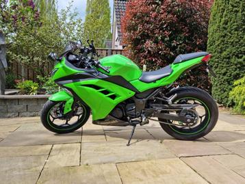 Kawasaki Ninja 300 | ABS | A2 Motor