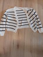 Vest maat 146 152 merk h&m, Gebruikt, Meisje, Trui of Vest, H&M