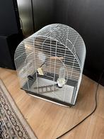 Vogelkooi, Ophalen of Verzenden, Zo goed als nieuw, Metaal, Vogelkooi