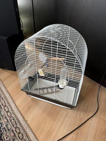 Vogelkooi beschikbaar voor biedingen