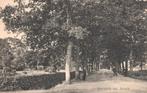 Borculo, Ruurlosche Weg (1915) 129539, Verzenden, Voor 1920, Gelopen, Gelderland