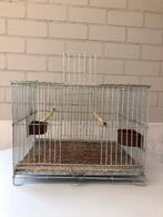 Te koop meerdere draadkooien 40 x33 x 30, Ophalen, Gebruikt