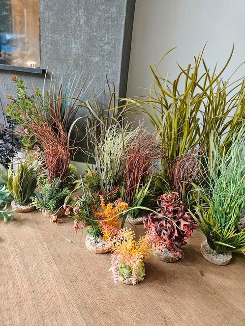 Aquarium planten, Dieren en Toebehoren, Vissen | Aquaria en Toebehoren, Gebruikt, Plant(en), Steen of Hout, Ophalen of Verzenden