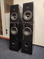 Verity Audio Rienzi  High-End vloerstaande luidsprekers, Overige merken, Gebruikt, Ophalen of Verzenden, Nvt