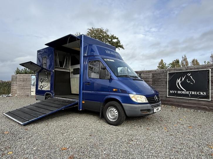 Mercedes-Benz Sprinter Paardenwagen Nuyts 2XL | AUTOMAAT | P, Dieren en Toebehoren, Paarden en Pony's | Trailers en Aanhangwagens