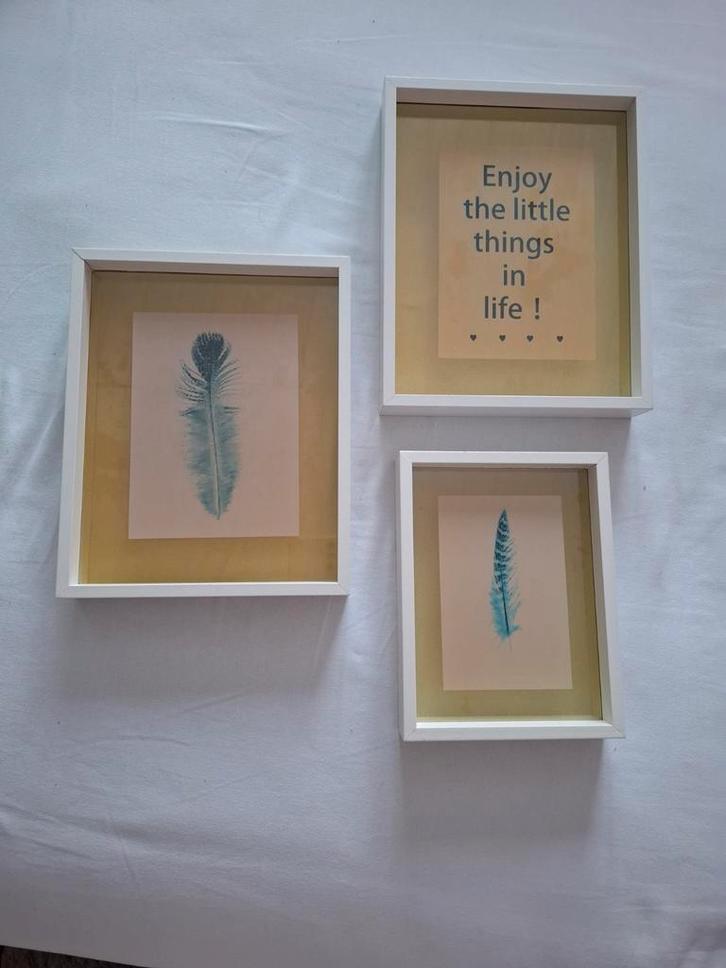 Doorkijk wissellijsten  met veren prints, Huis en Inrichting, Woonaccessoires | Schilderijen, Tekeningen en Foto's, Zo goed als nieuw