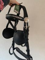 Mentuig Tjeu van de Meulengraaf, Dieren en Toebehoren, Ophalen of Verzenden, Nieuw, Overige soorten