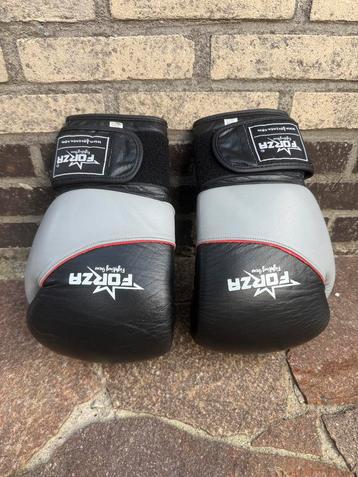 Forza Bokshandschoenen Wrecks – 14Oz beschikbaar voor biedingen
