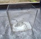 kleine glazen accubak (afm.: 10 x 15 x 15 cm hoog) - GRATIS, Ophalen, Gebruikt, Overige kleuren, Glas