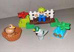 Duplo 10581 Bos Eenden - Compleet, zonder doos, Kinderen en Baby's, Speelgoed | Duplo en Lego, Ophalen of Verzenden