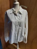 Dan Dani dames blouse maat 36, 38, 40, 42 en 44 NIEUW, Kleding | Dames, Maat 38/40 (M), Wit, Nieuw, Ophalen of Verzenden