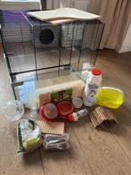 Glazen hamsterkooi, Dieren en Toebehoren, Knaagdieren en Konijnen | Hokken en Kooien, Kooi, Gebruikt, Minder dan 75 cm, Hamster