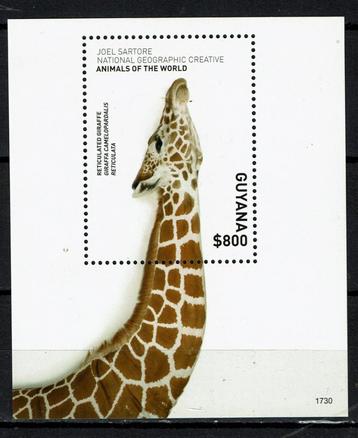 guyabna 2017 pf blok giraffen wildlife zoogdieren beschikbaar voor biedingen