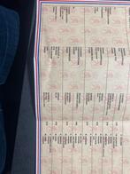 Te koop 2,5 jarige tuigpaard merrie, Dieren en Toebehoren, Paarden, Merrie, Minder dan 160 cm, Gechipt, 0 tot 2 jaar