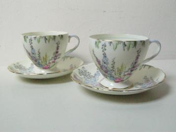 Foley Bone China 1935 kop en schotel 2 stuks Stokrozen beschikbaar voor biedingen