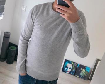 Lacoste trui, maat S, 100% wol beschikbaar voor biedingen