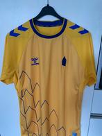 Everton voetbalshirt M geel blauw, Sport en Fitness, Voetbal, Ophalen of Verzenden, Zo goed als nieuw, Shirt
