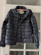 Gedragen Moncler jas - Maat S, Zwart, Moncler, Ophalen of Verzenden, Maat 36 (S)