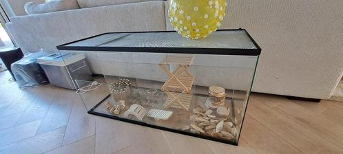 Gerbilarium (100x40x50), Dieren en Toebehoren, Knaagdieren en Konijnen | Hokken en Kooien, Zo goed als nieuw, Hok, Minder dan 60 cm