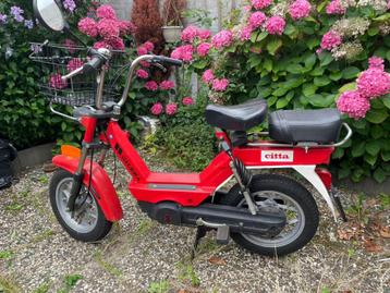 Titel: Prachtige rode Citta Gilera Snorfiets beschikbaar voor biedingen
