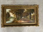 Landschaps schilderij P van Schaik, Ophalen