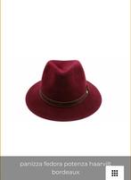 Sjieke heren of dames hoed, Kleding | Dames, Ophalen of Verzenden, Zo goed als nieuw, One size fits all, Hoed