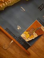 Schoolplaat kaart van Palestina, Antiek en Kunst, Antiek | Schoolplaten, Ophalen, Geschiedenis