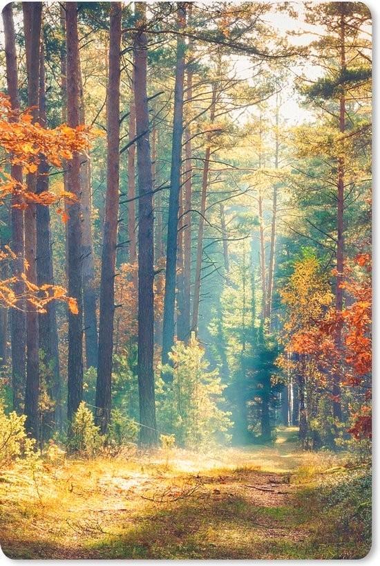 GEZOCHT: Stalling voor leuke sociale merrie, Dieren en Toebehoren, Stalling en Weidegang, Stalling