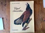 Vögel Amerikans, Ophalen of Verzenden, Gelezen, Vogels
